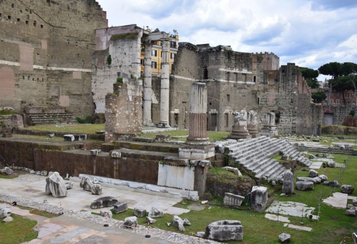 Фото Экскурсии в Колизей, Палатинский холм, Римский и Императорские форумы