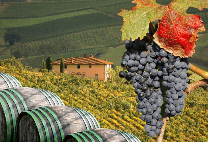 Фото Гастрономический тур из Рима в Тоскану. Дегустация вин и сыров в Кьянти.